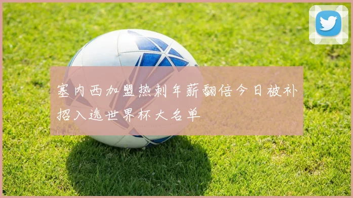 塞内西加盟热刺年薪翻倍今日被补招入选世界杯大名单