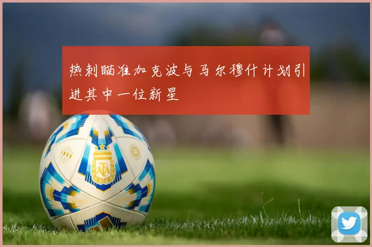 热刺瞄准加克波与马尔穆什计划引进其中一位新星