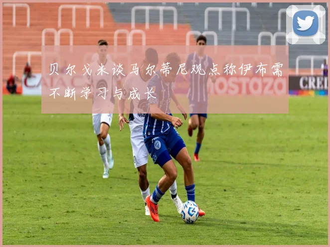 贝尔戈米谈马尔蒂尼观点称伊布需不断学习与成长